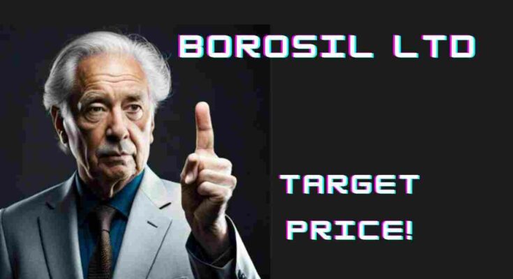 Borosil share price target