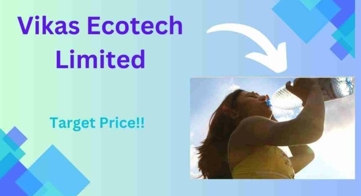 Vikas Ecotech share price target