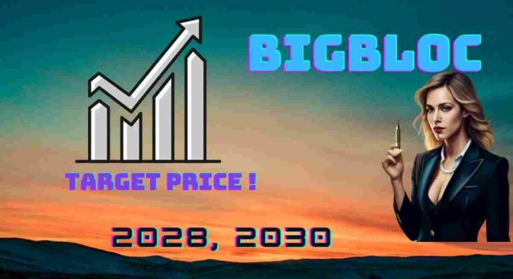 Bigbloc share price target 2025